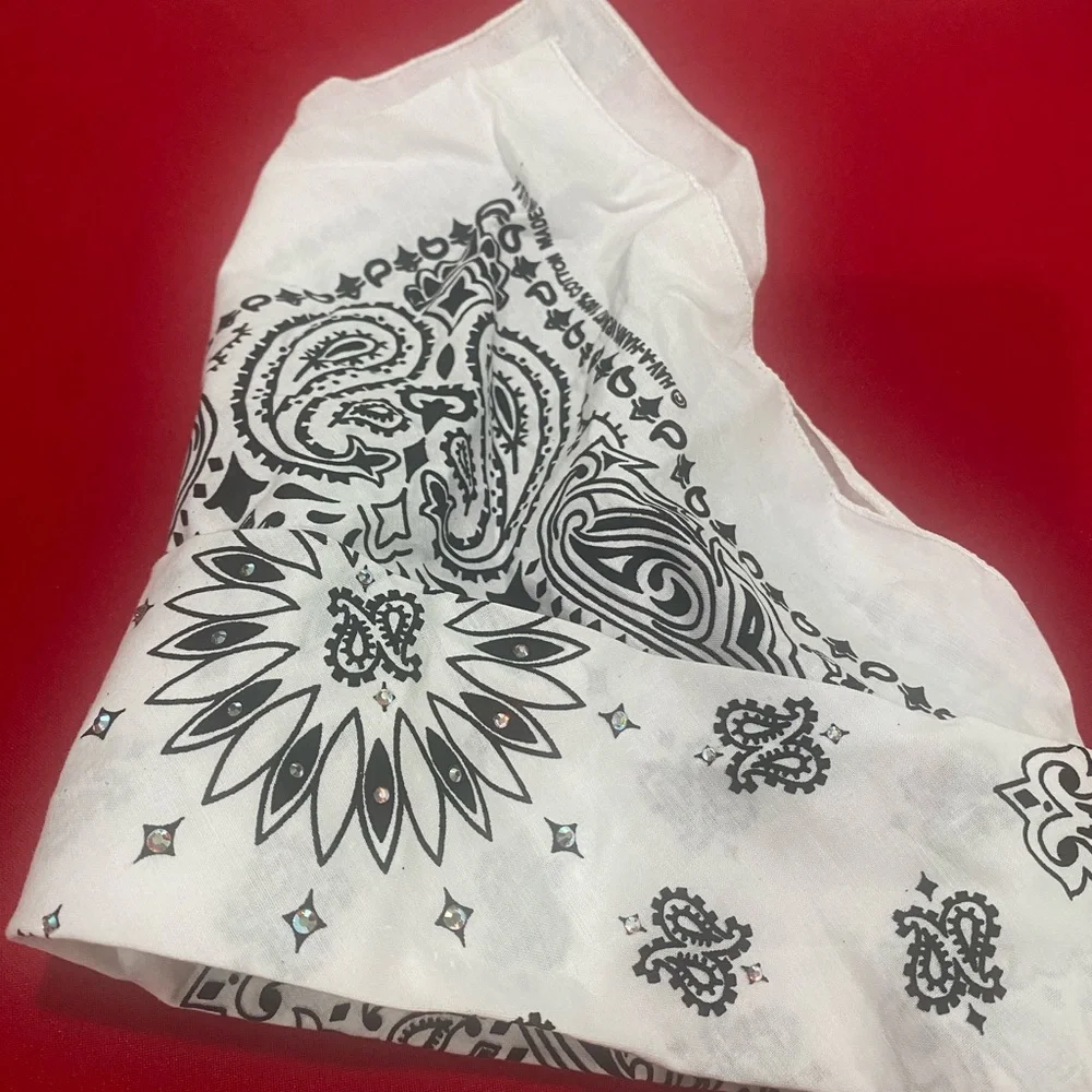 Dust Bandit Paisley Bandana Face Mask